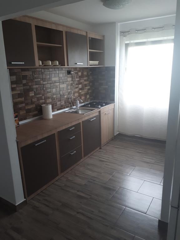 Apartament Faleza Dunarii Orşova Extérieur photo